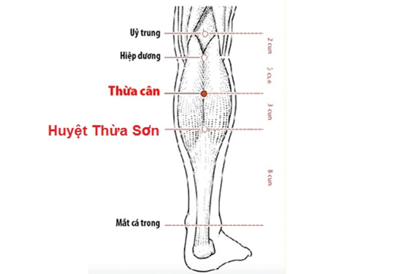 Bấm huyệt giãn tĩnh mạnh sẽ tác động trực tiếp vào huyệt Thừa Sơn