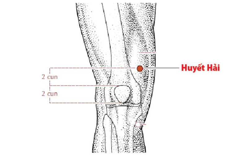 Phương pháp bấm huyệt giãn tĩnh mạnh sẽ tác động trực tiếp vào huyệt Huyết Hải